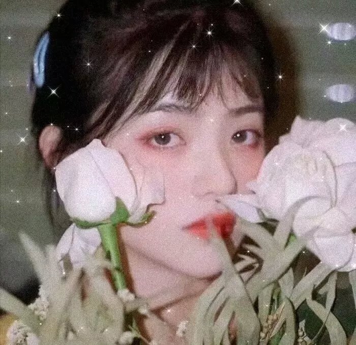 情来.算尽爱